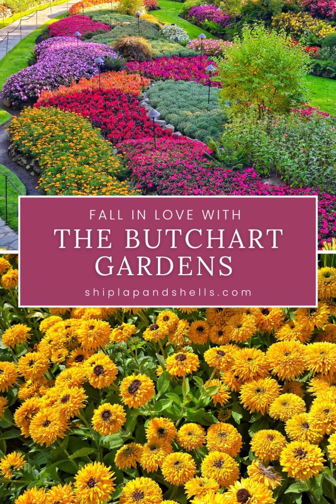 Fall in Love with the Butchart Gardens