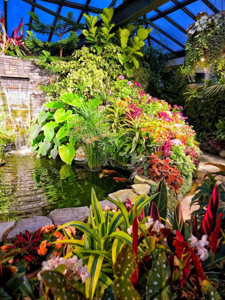 greenhouse full of exotic flowers and plants