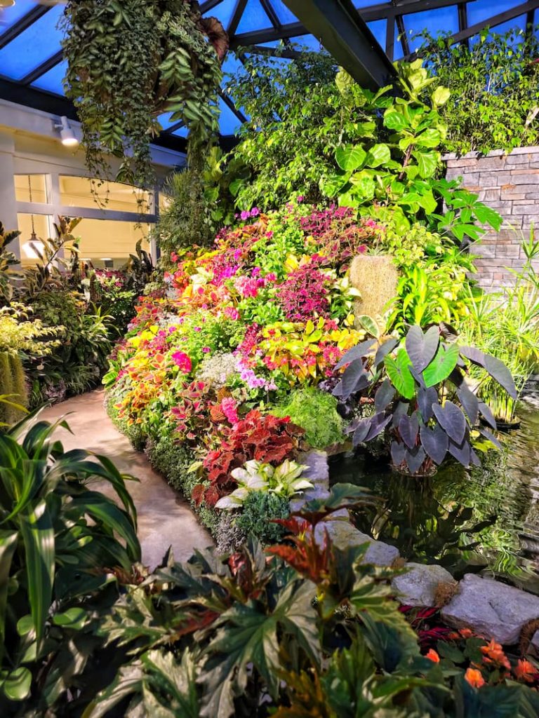 greenhouse full of exotic plants