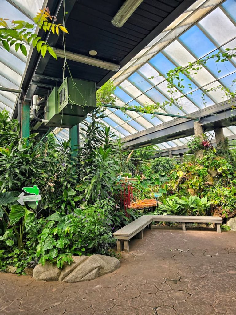 Victoria Butterfly gardens