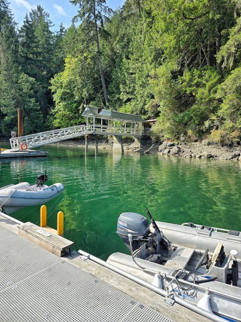 back entrance from dinghy dock