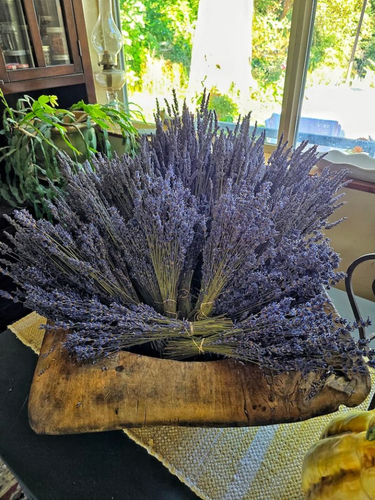 lavender harvested from farm in wooden dough bowl