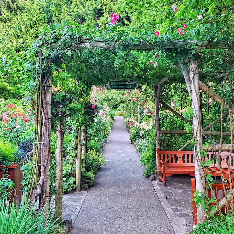 a pathway with arbors 