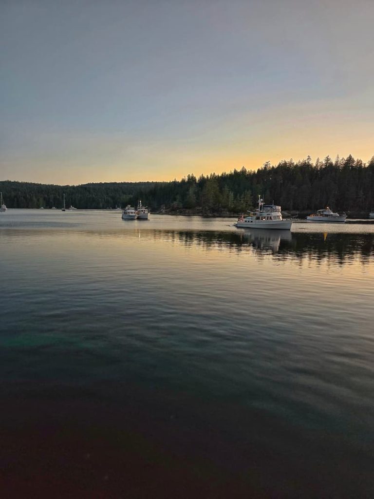 boats anchored in Squirrel Cove at dusk