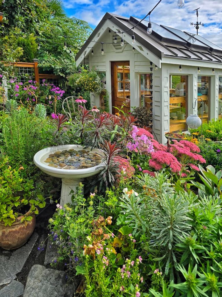 greenhouse and fall flowers with birdbath