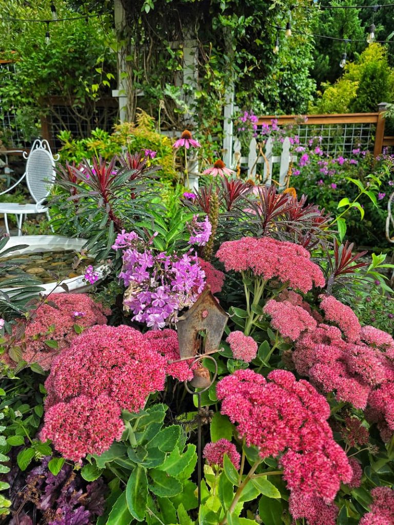 fall garden blooms along the patio