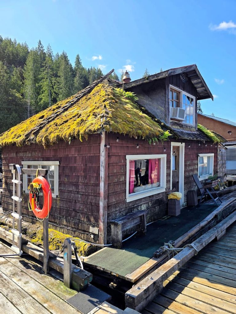 old cabin on the dock with moss roof