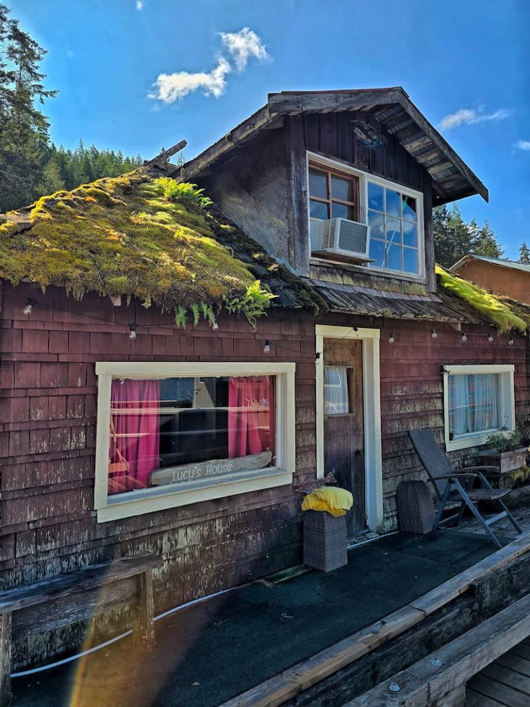 old cabin on the dock with moss roof