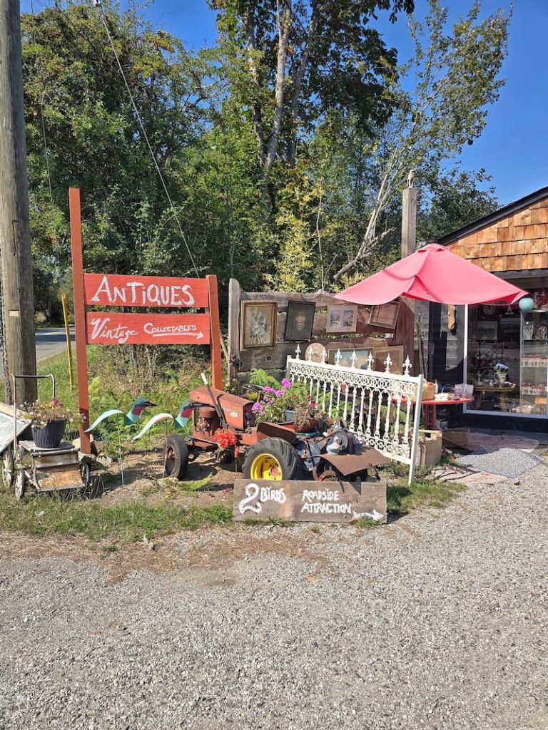 Antique shop along the road