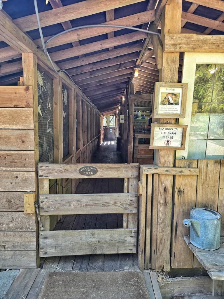 Salt Spring Cheese Shop barn