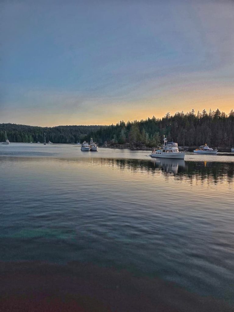 Squirrel Cove with boats on anchor in the evening