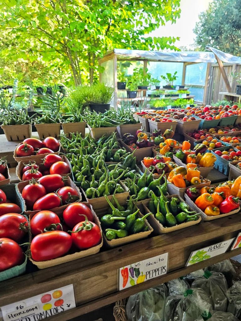 Stowel Lake Farm Stand