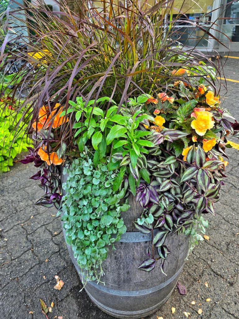 fall flower containers in Vancouver, B.C. Canada