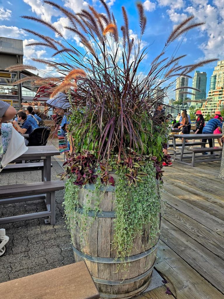 fall flower containers in Vancouver, B.C. Canada