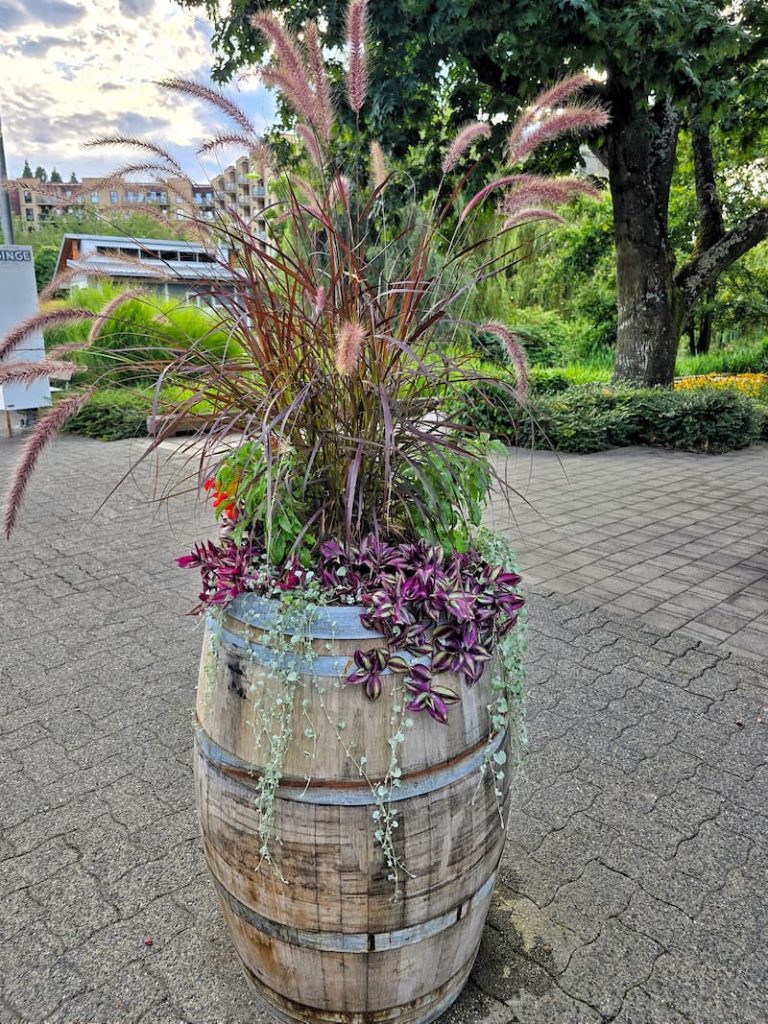 fall flower containers in Vancouver, B.C. Canada