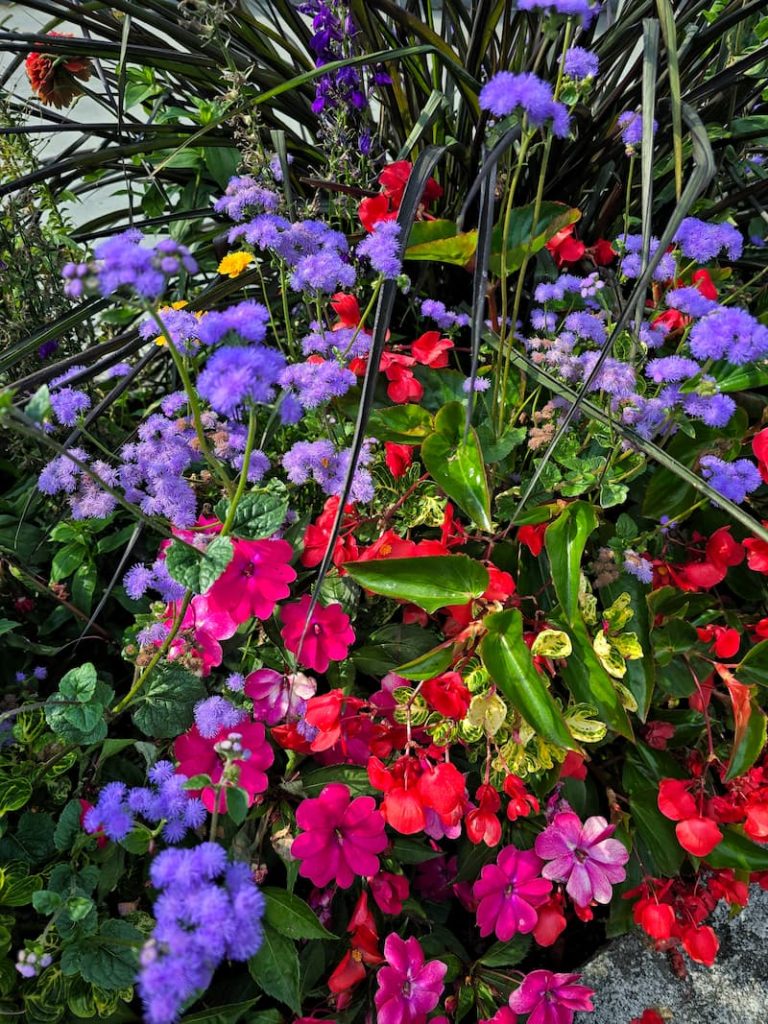 fall flower containers in Vancouver, B.C. Canada