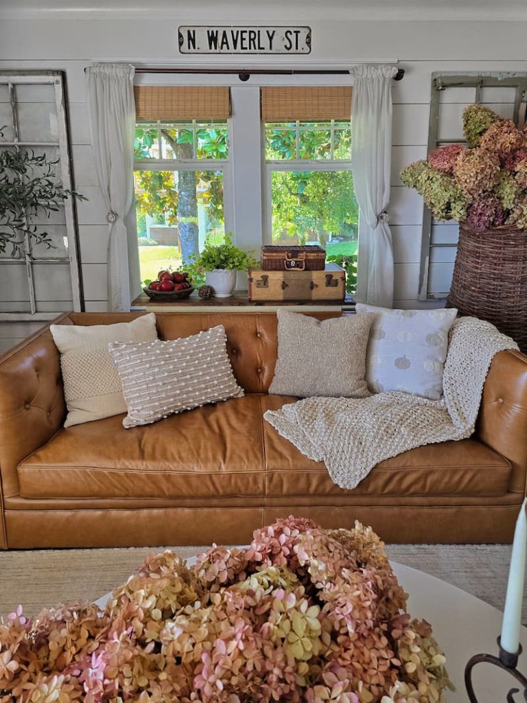 tan leather sofa with fall neutral pillows and dried hydrangeas