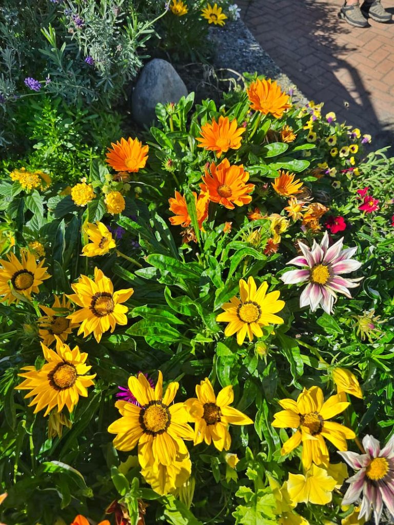 fall flower containers in Vancouver, B.C. Canada