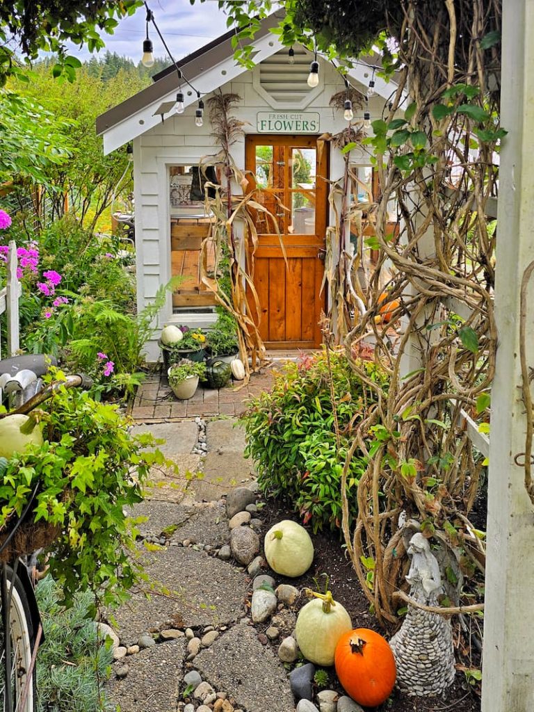 fall greenhouse with pumpkins down the path