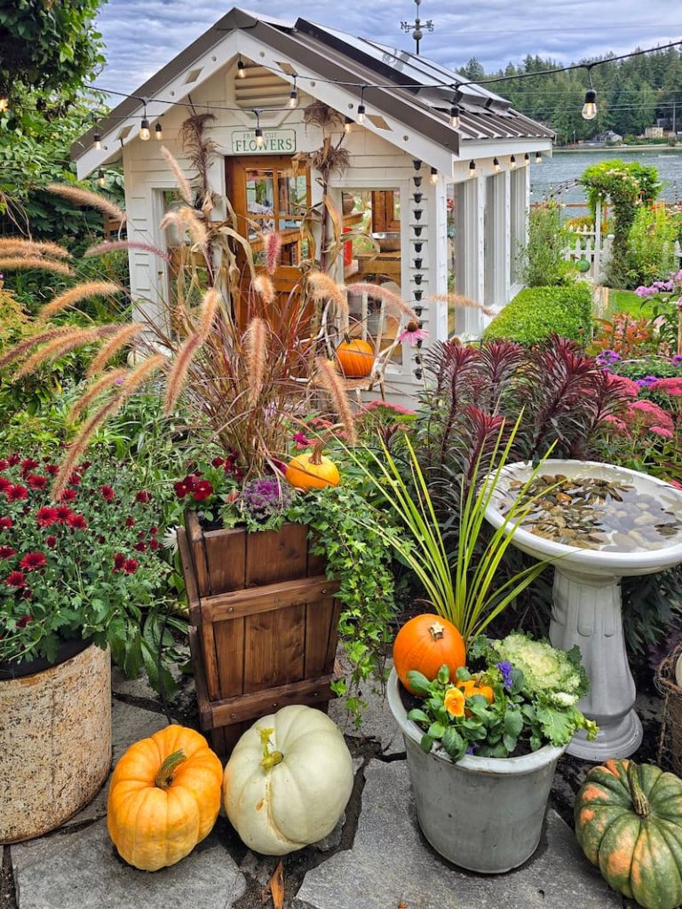 greenhouse in the fall with grasses and autumn plants