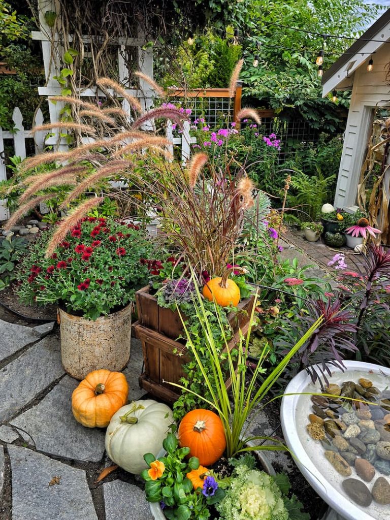 fall garden with grasses and flowers in planters and pumpkins