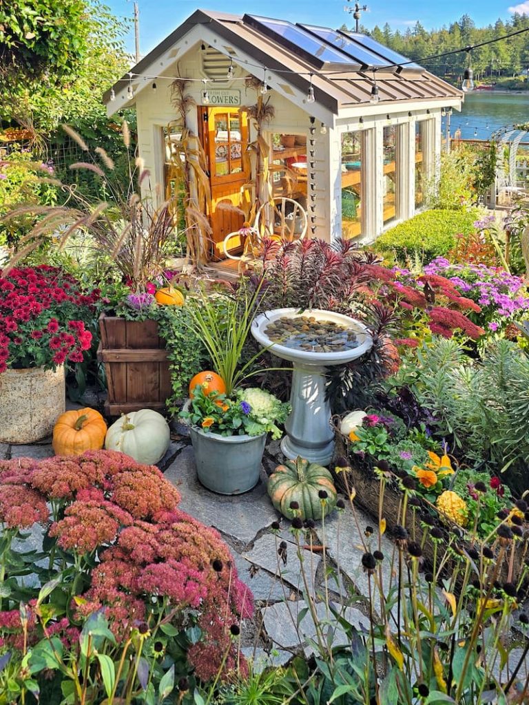 fall greenhouse and patio