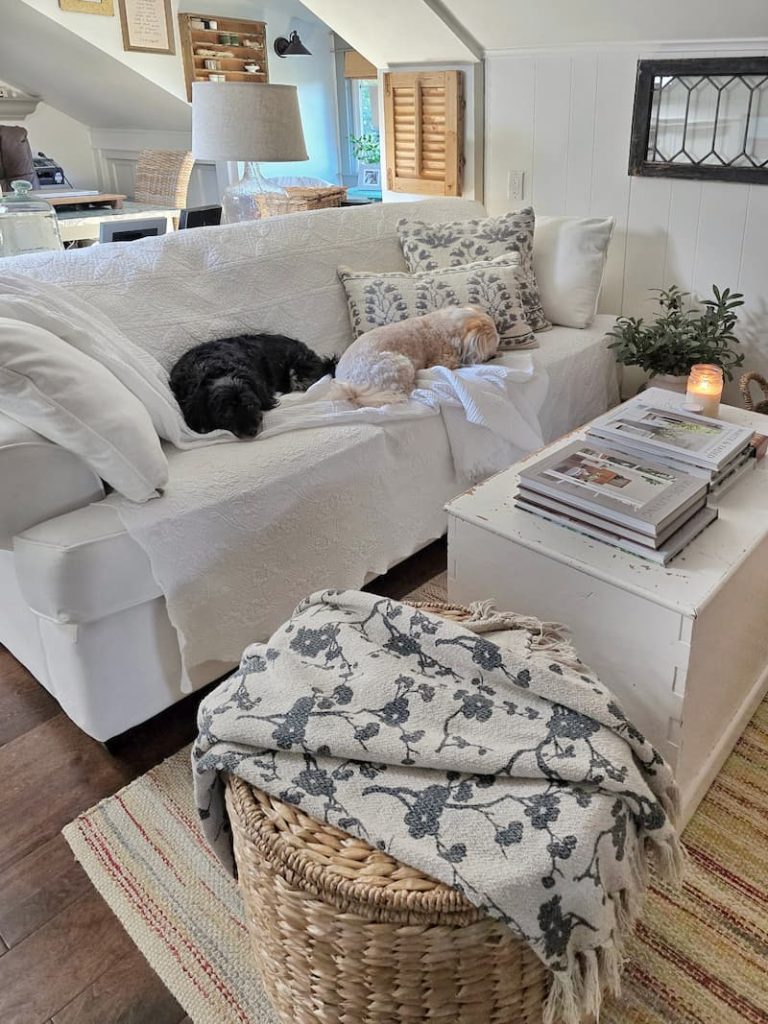 home office with dogs sleeping on couch