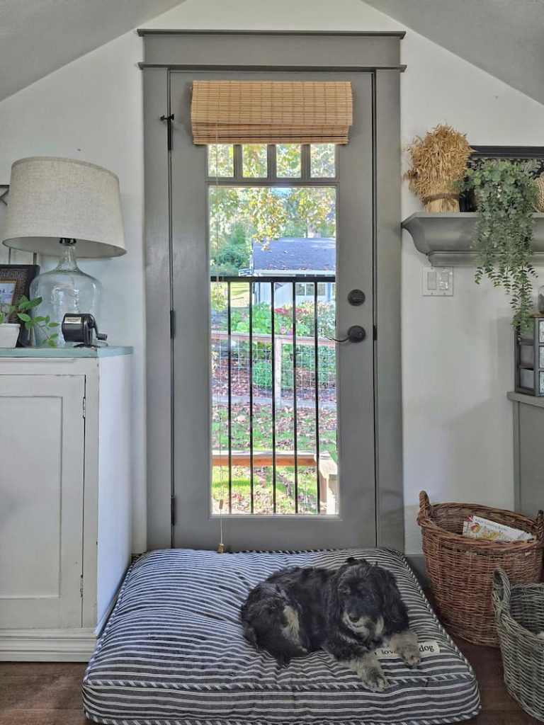 home office with dog sleeping on couch with dog sleeping on dog bed