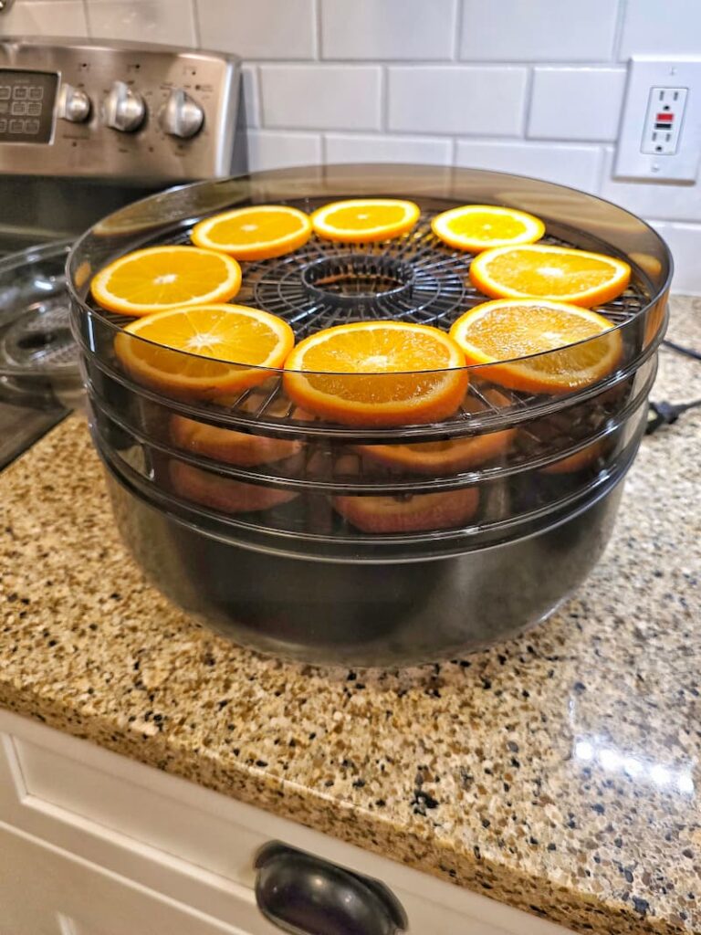 orange slices drying in a dehydrator