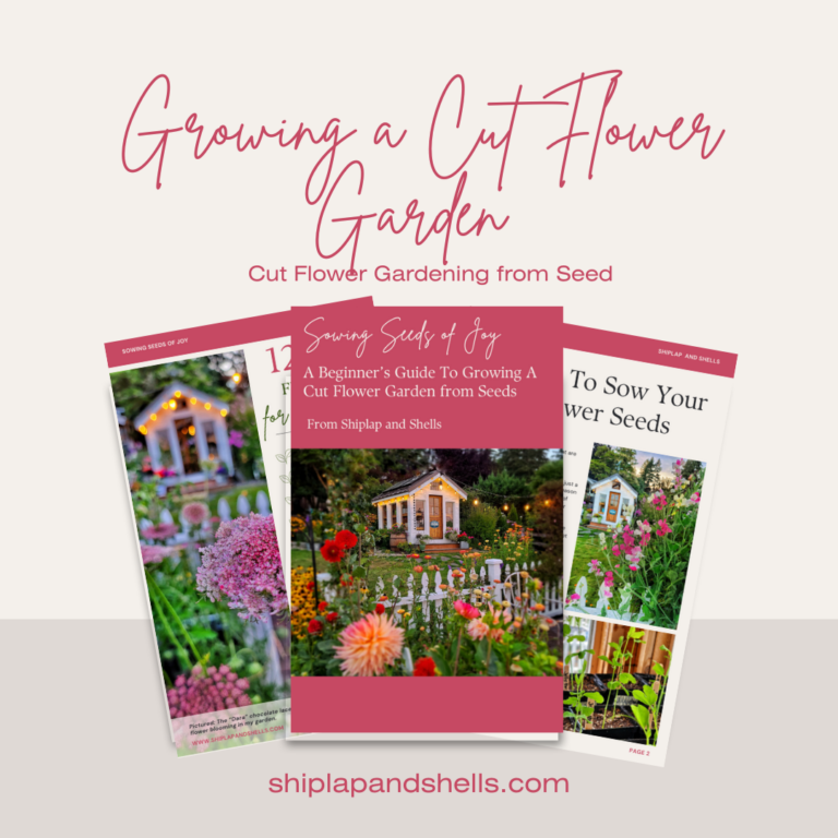 Growing a Cut Flower Garden for Beginners: 21 Resources and Tips ...