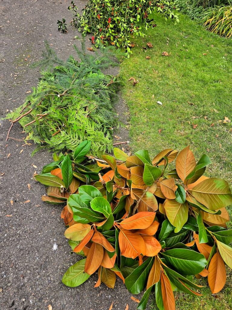 magnolia brnaches and evergreen brnaches