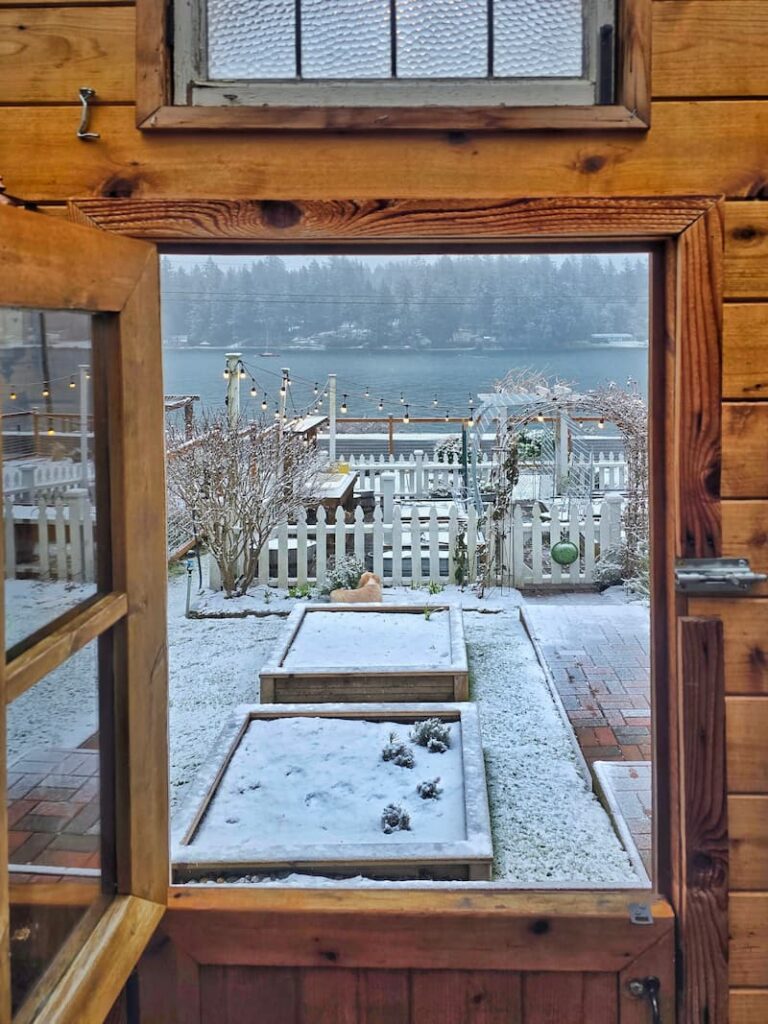 view of the snow in the garden through the Dutch doors of the greenhouse