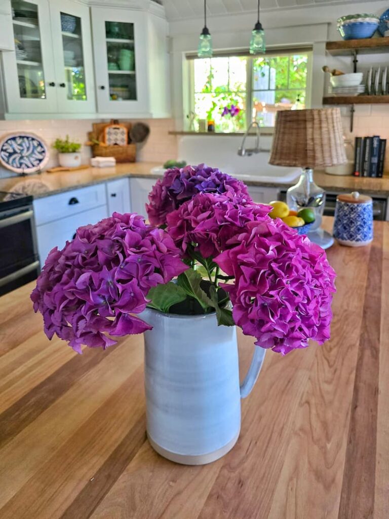 fuchsia hydrangeas in a white pitcher in the kitchen