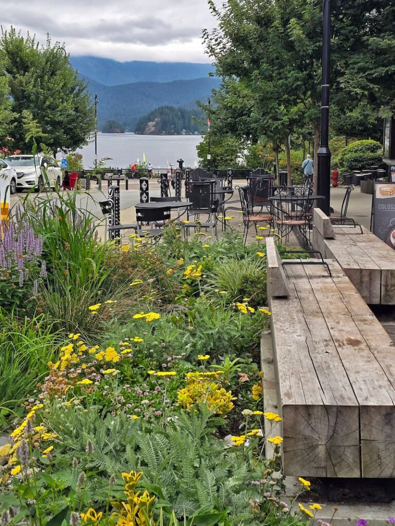 the charming town of Deep Cove