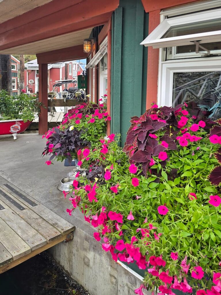 flowers planted at the Union Steamship Company Marina in Snug Harbour