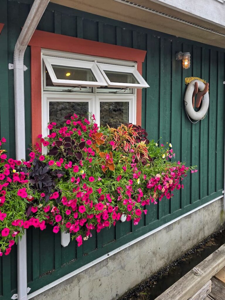 flowers planted at the Union Steamship Company Marina in Snug Harbour