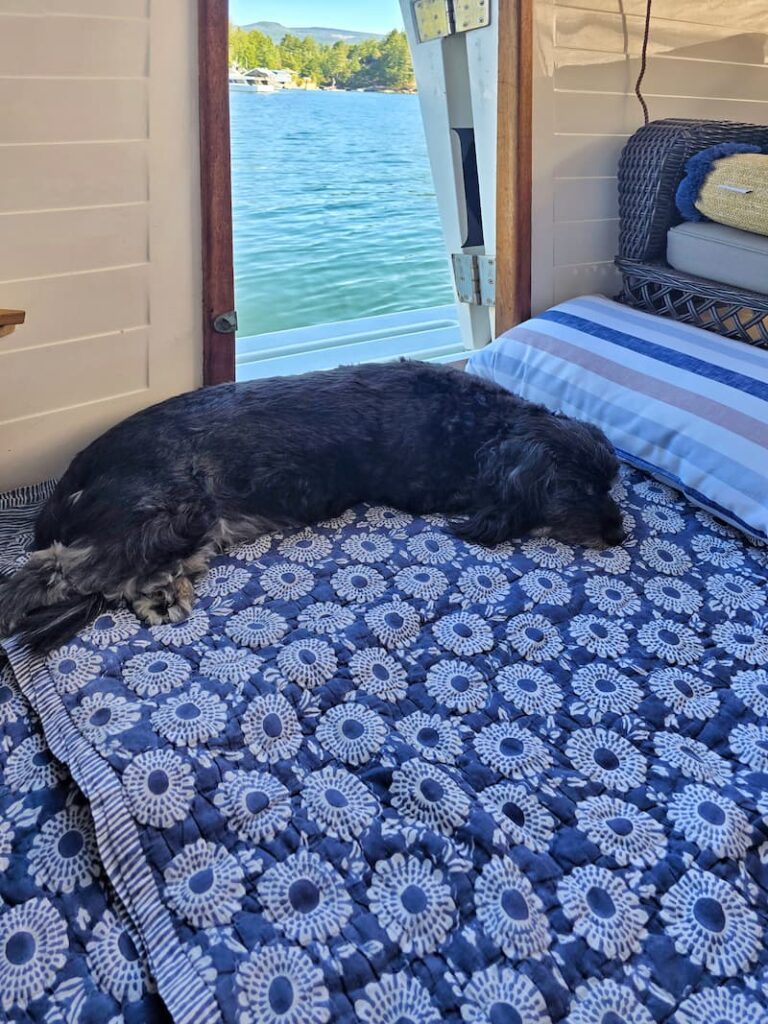 black dog laying on boat floor on navy and white blanket