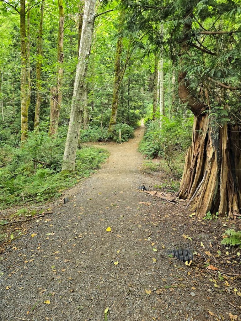a walking trail in Snug Harbour