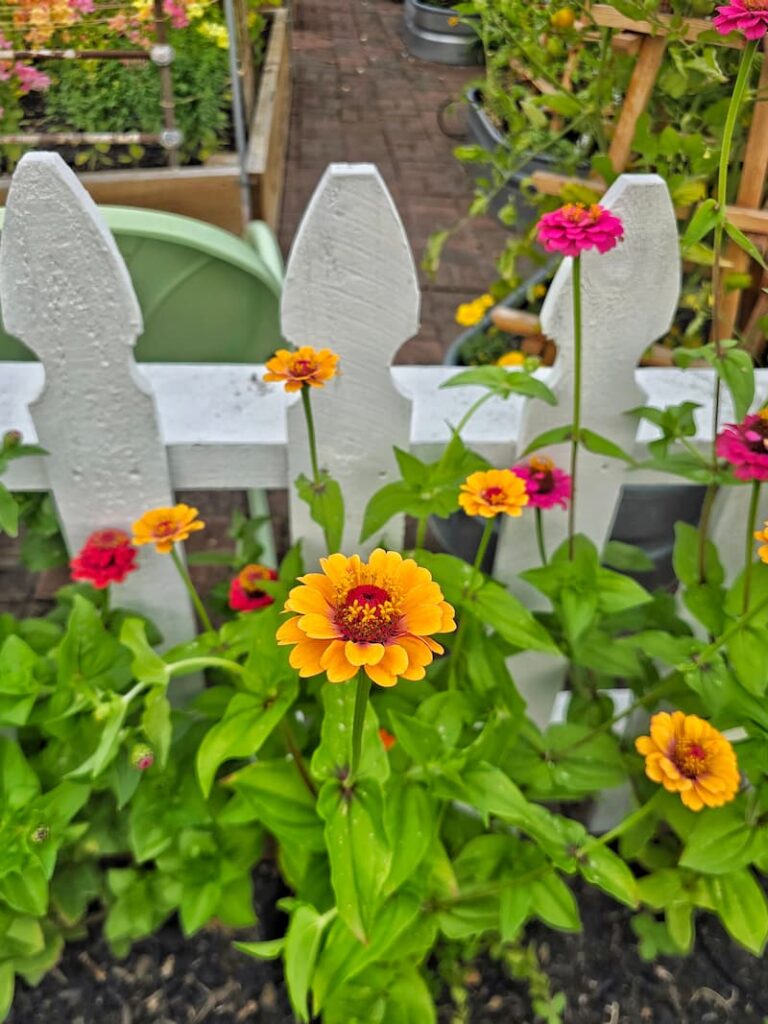 Saltwater Sounds: Dungeness Feasts and Dockside Finds