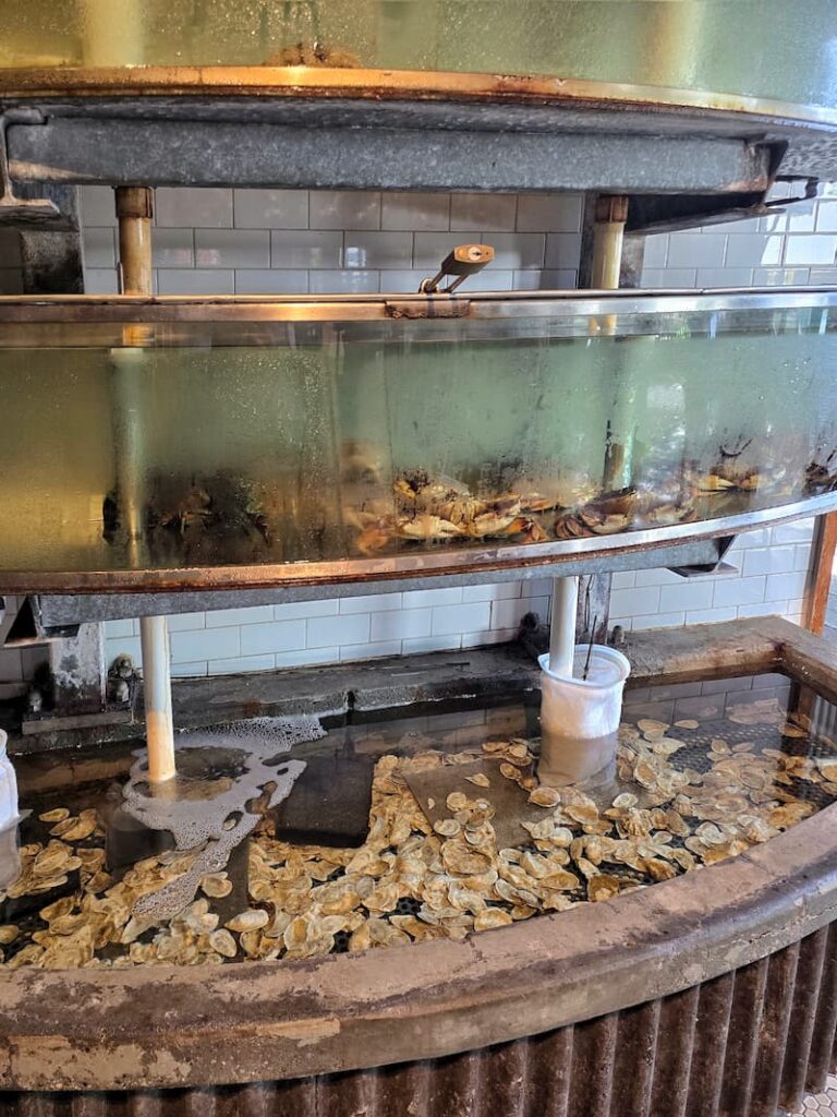 Seafood offered at the Sandbar Restaurant