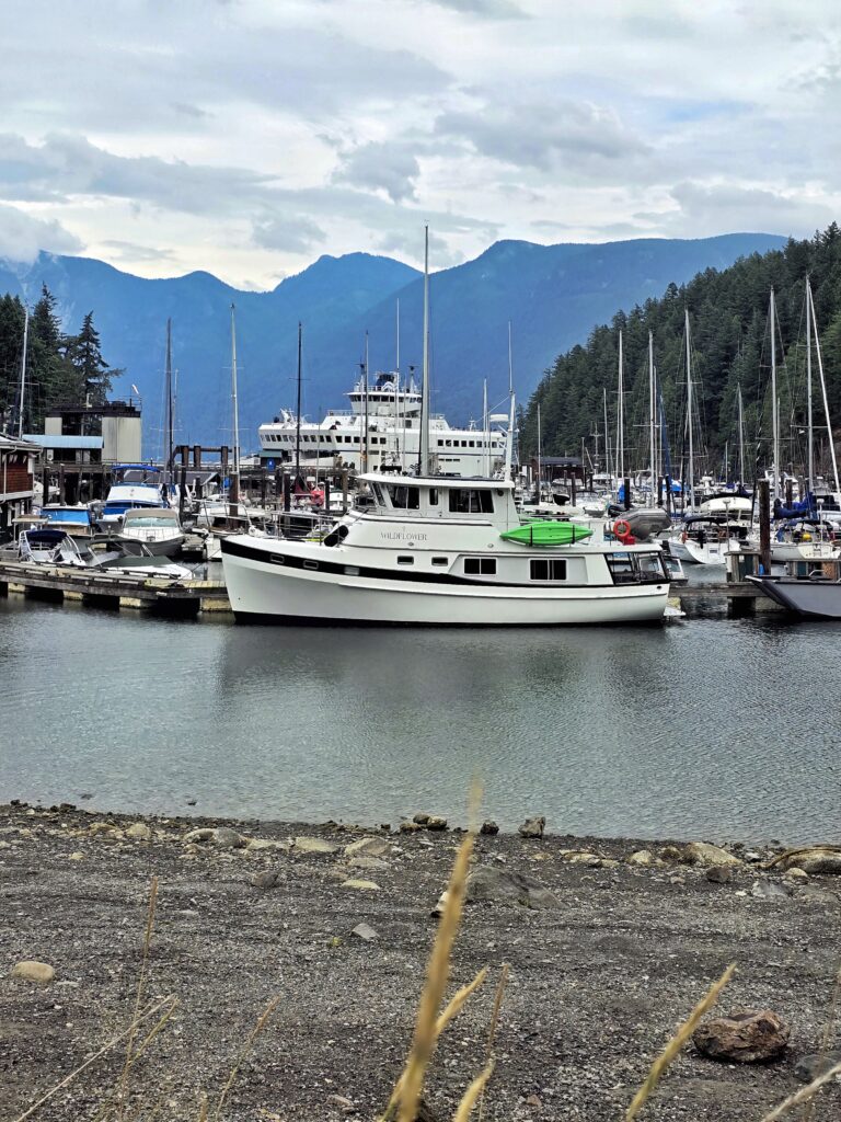 Union Steamship Company Marina in Snug Harbour