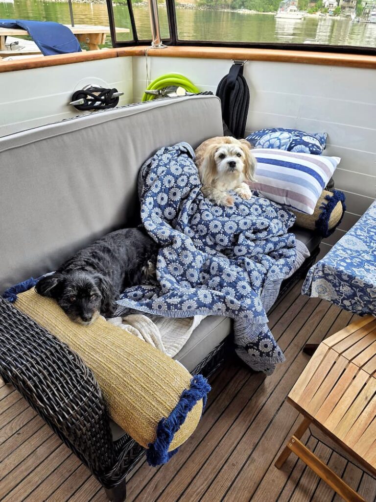white and black dogs resting on the outdoor sofa on the boat