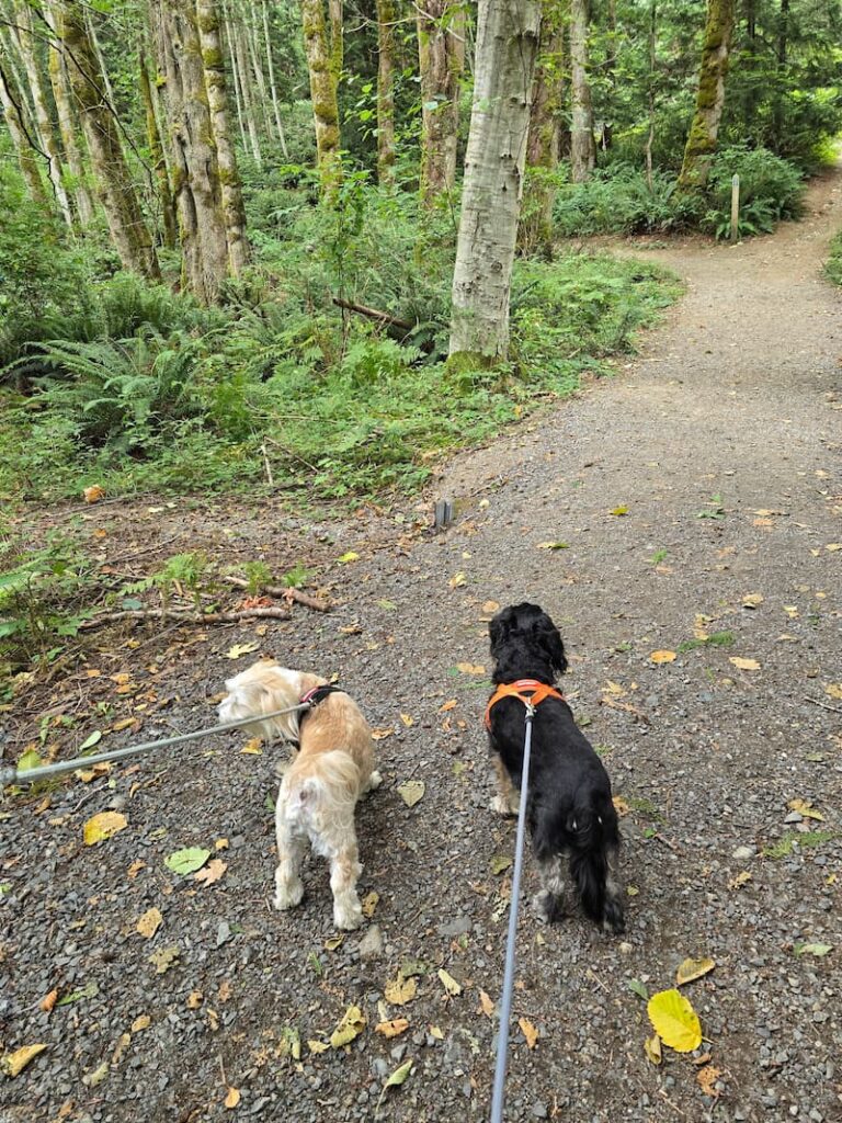 a walking trail in Snug Harbour