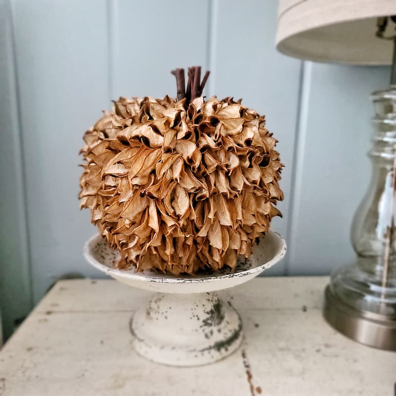 textured dried apple pumpkin on cream stand