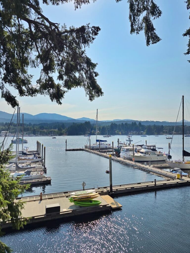 view of Ladysmith Harbour from 1948 bar and bistro