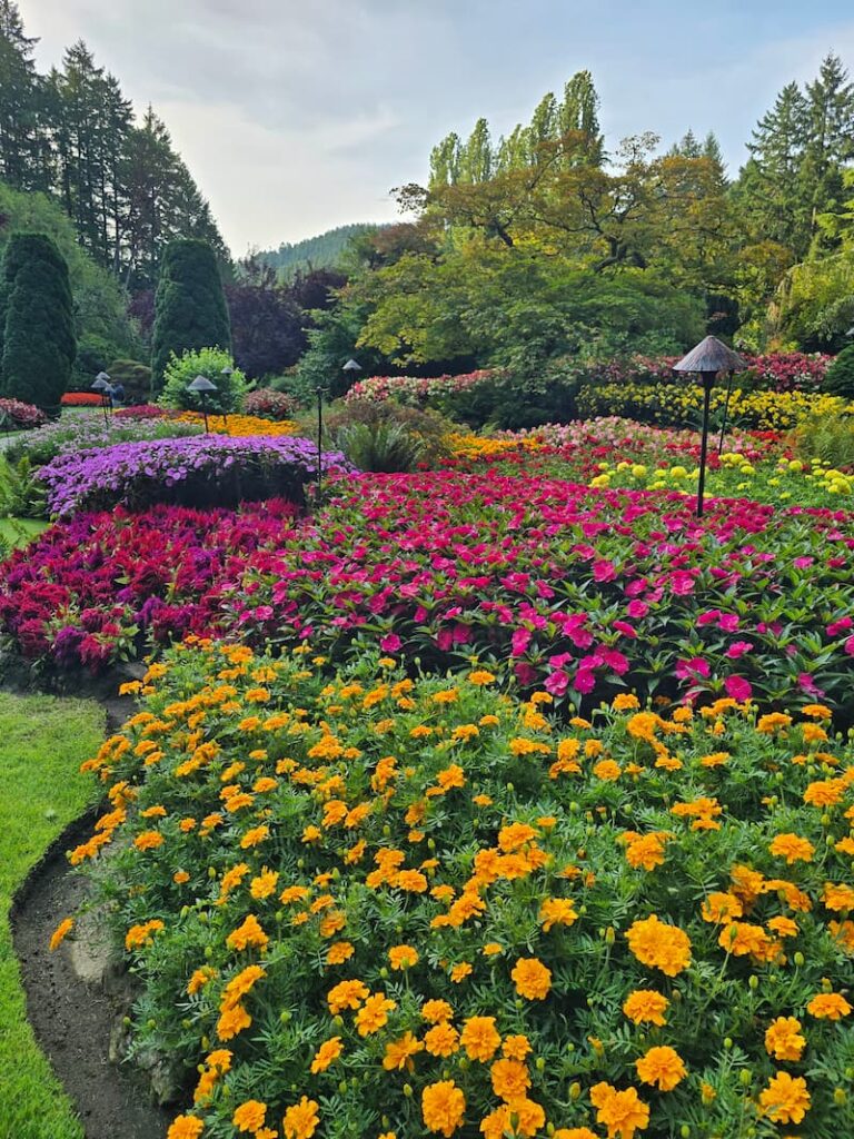 The Butchart Gardens sunken gardens