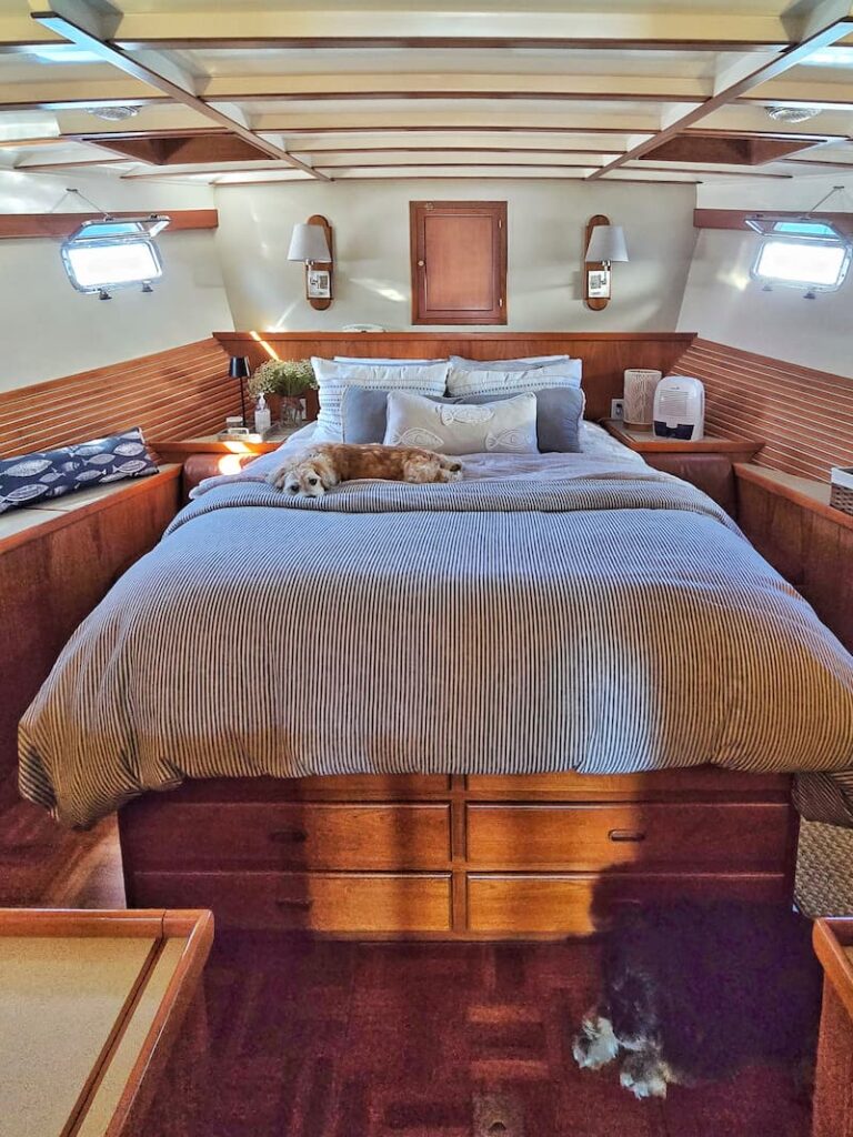 stateroom bed with cream dog on top