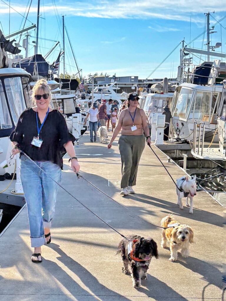 dog parade on the dock of a marina