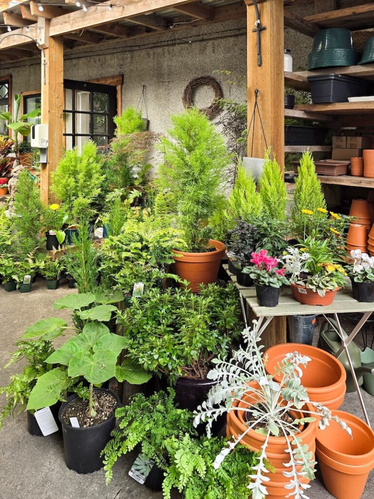 garden nursery in Victoria