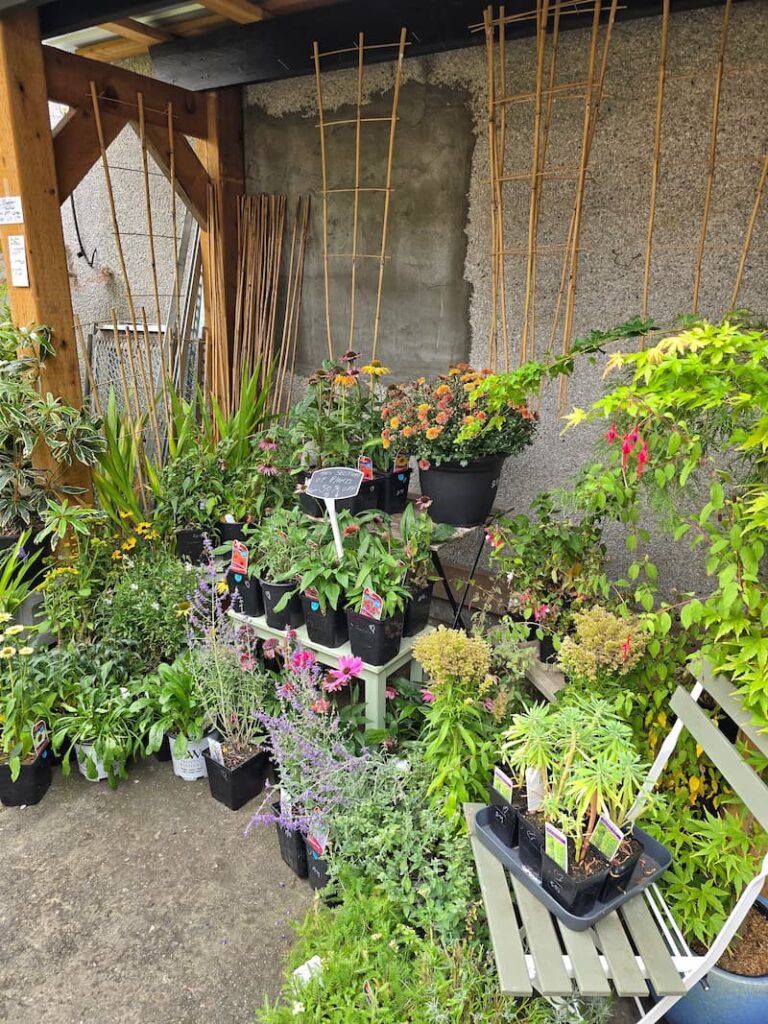 garden nursery in Victoria